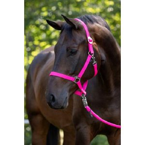 Hippo halster roze- 1 – Pony