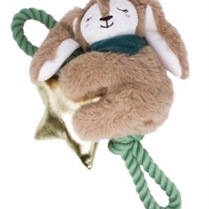 Happy pet wish upon a star konijn