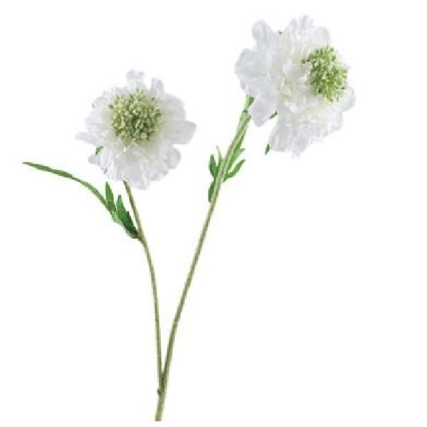 Scabiosa White zijde
